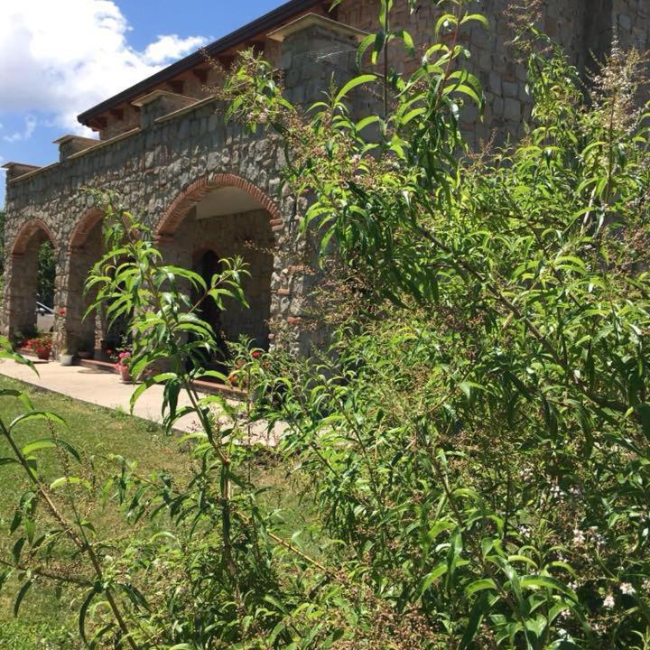 Novi Velia Bed & Breakfast | Stone house