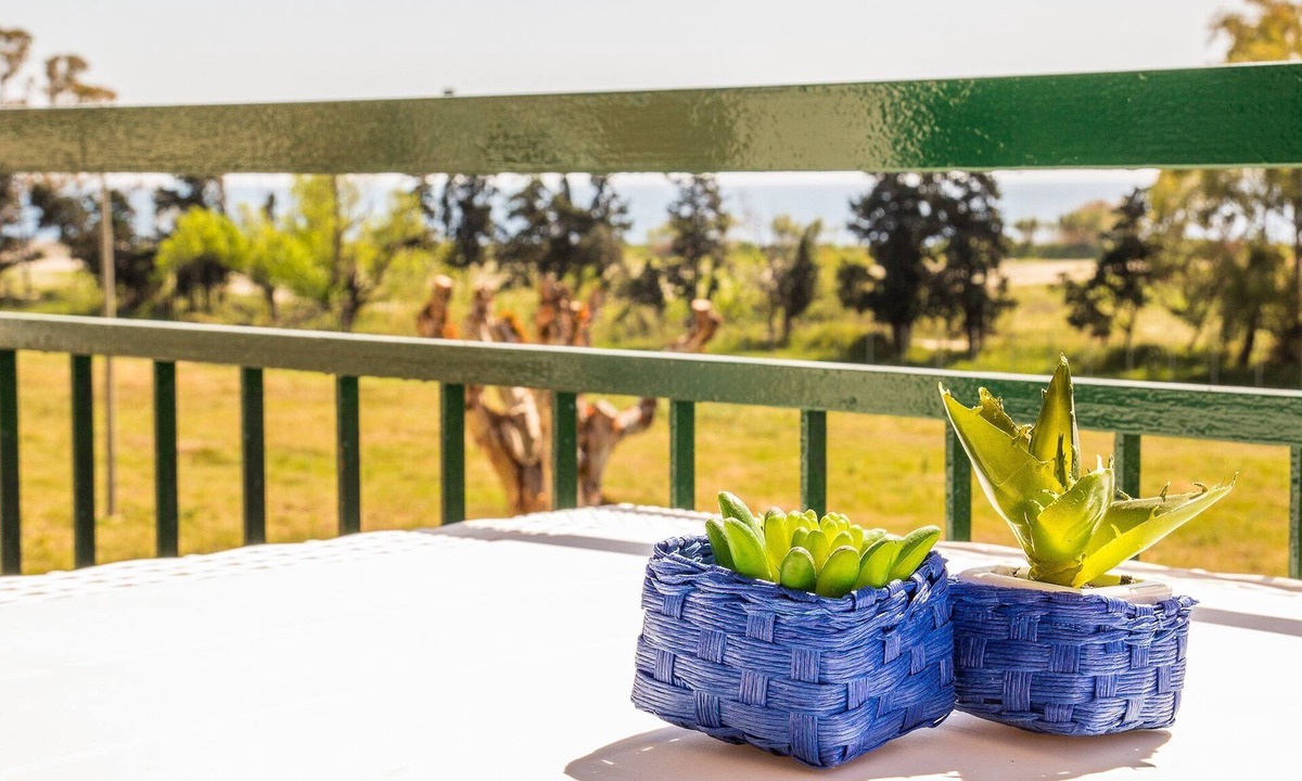 Porticato Apartment | STUDIO CORAL VIEW - apartment with sea view