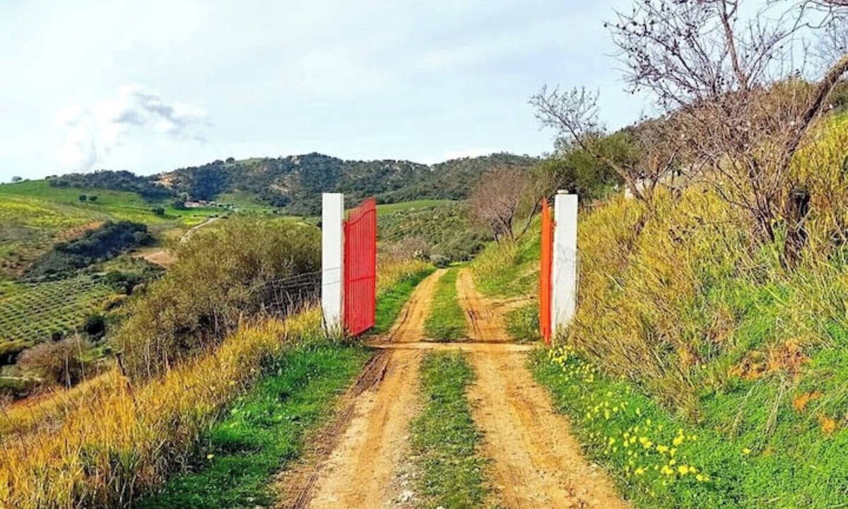 Caccamo Bed & Breakfast | Tenuta Balabaia: Shōgun Suite