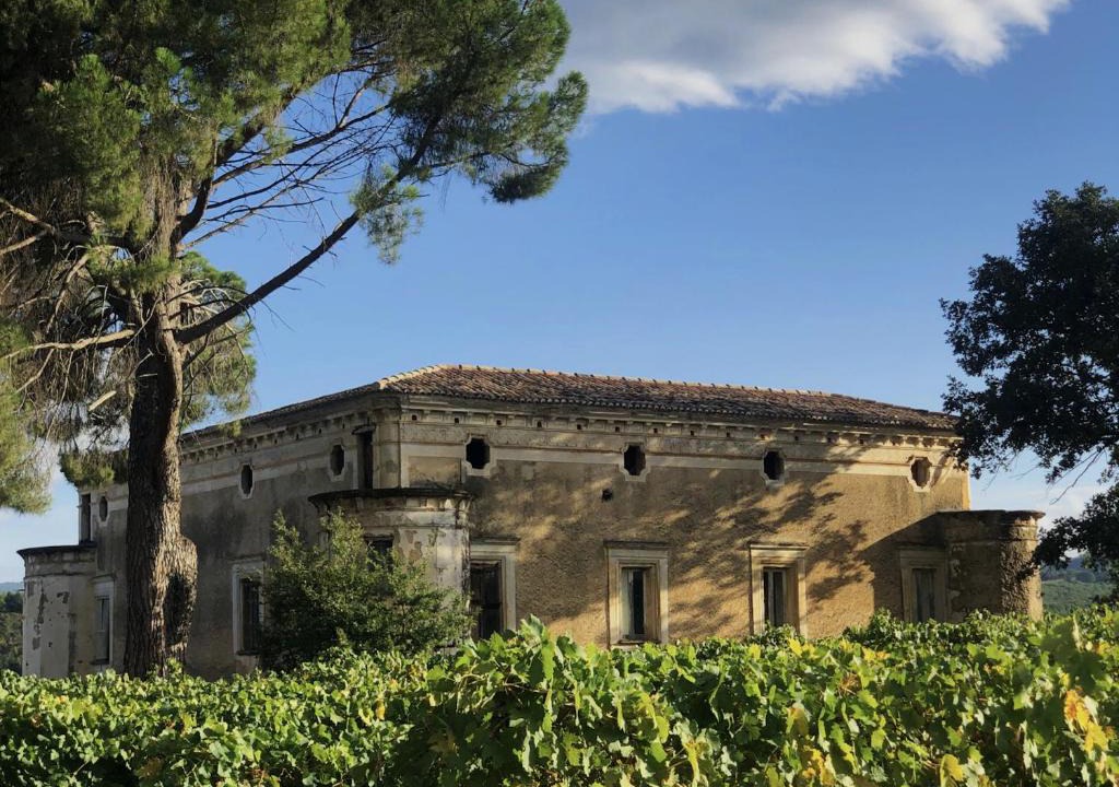 Malvito Apartment | Tenute Pacelli - Azienda Agricola