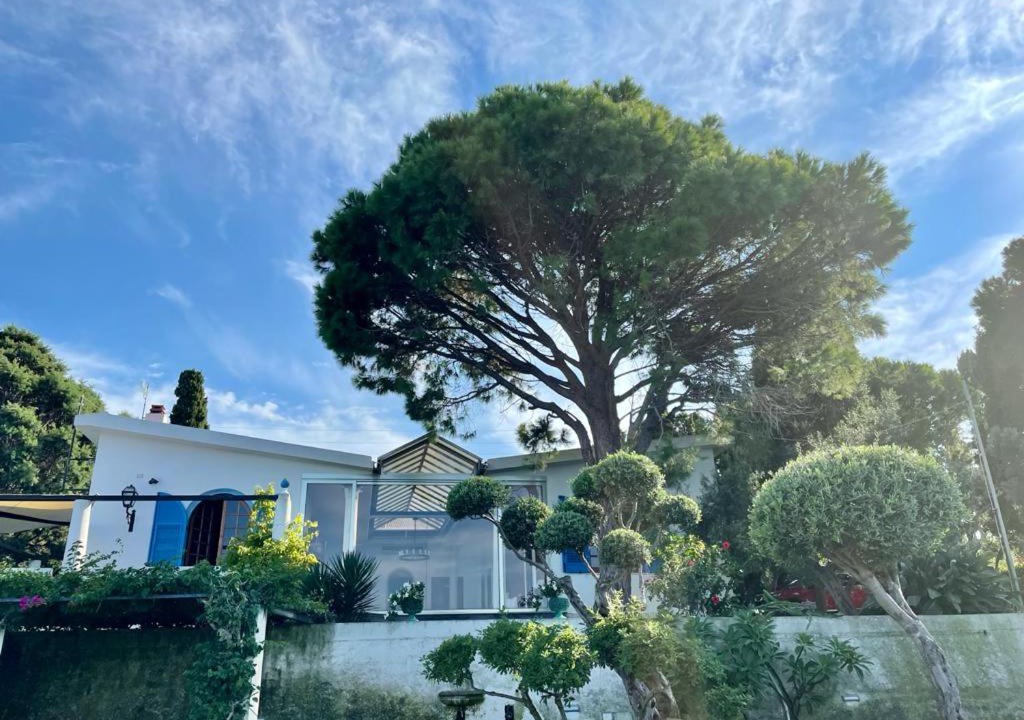 Province of Messina Villa | The cliff house