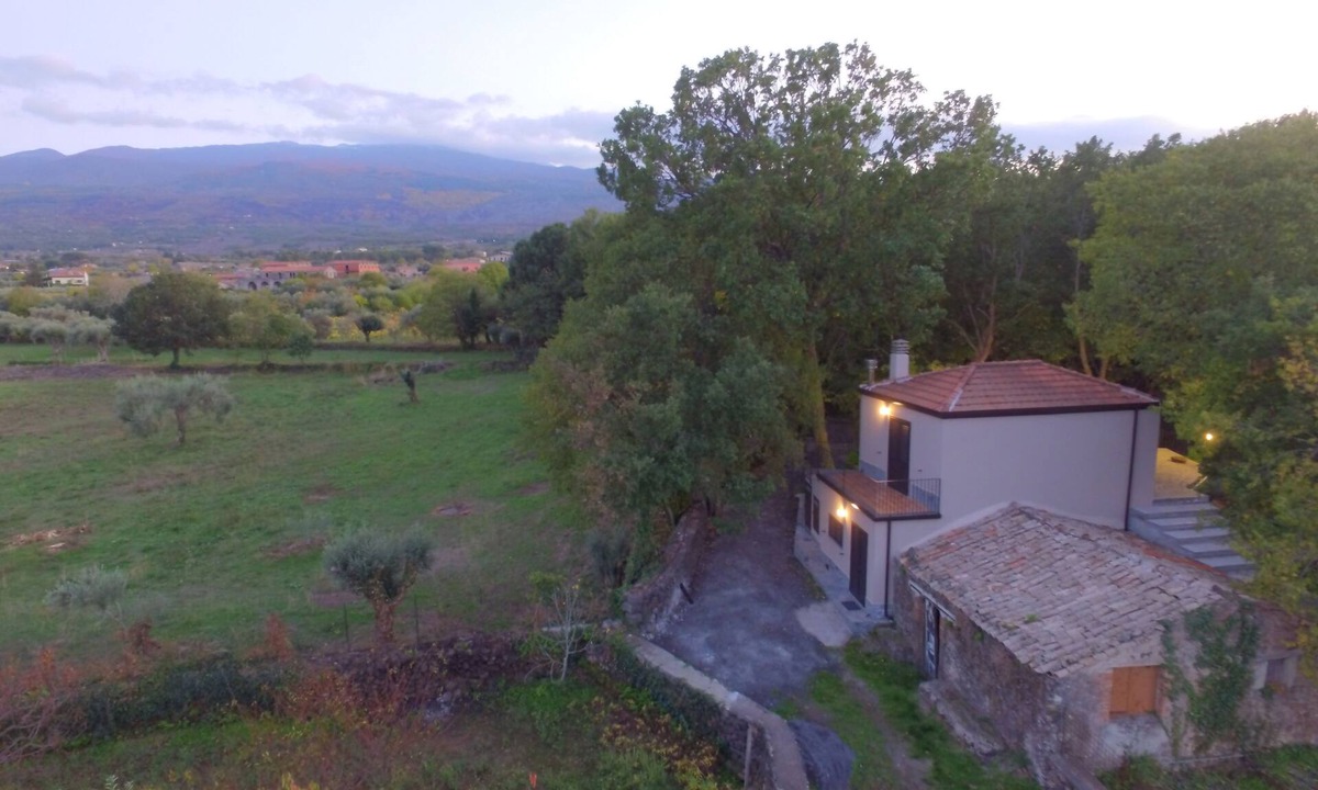 Randazzo House | The oak house