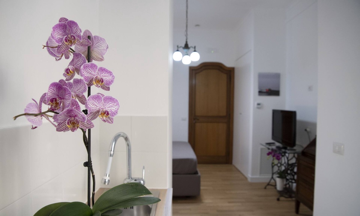 Santa Lucia Apartment | Vesuvio Blu Apartment in the center of Naples