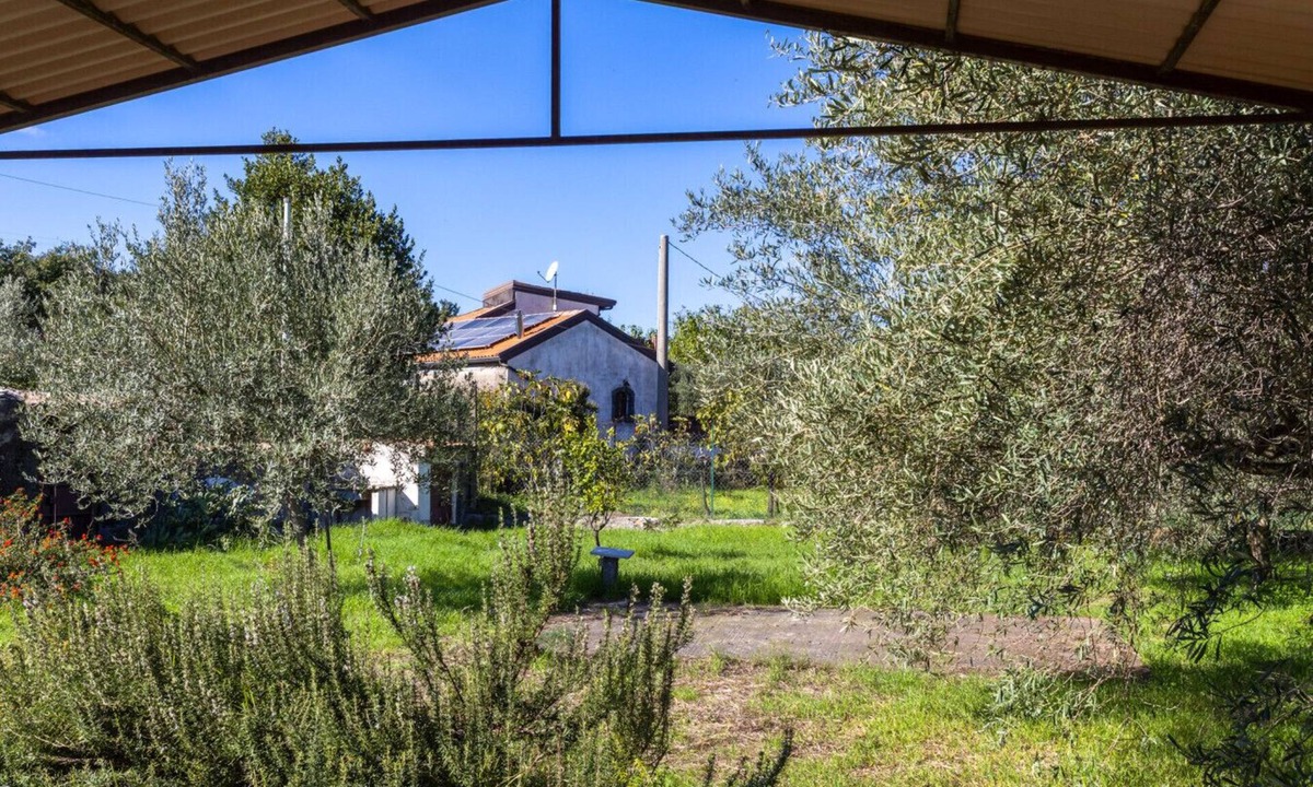Piedimonte Etneo House | Vigna dell`Etna - Piedimonte Etneo