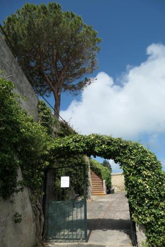 Panza Apartment | Villa Andrea