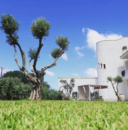 Terrasini Apartment | Villa Eagle