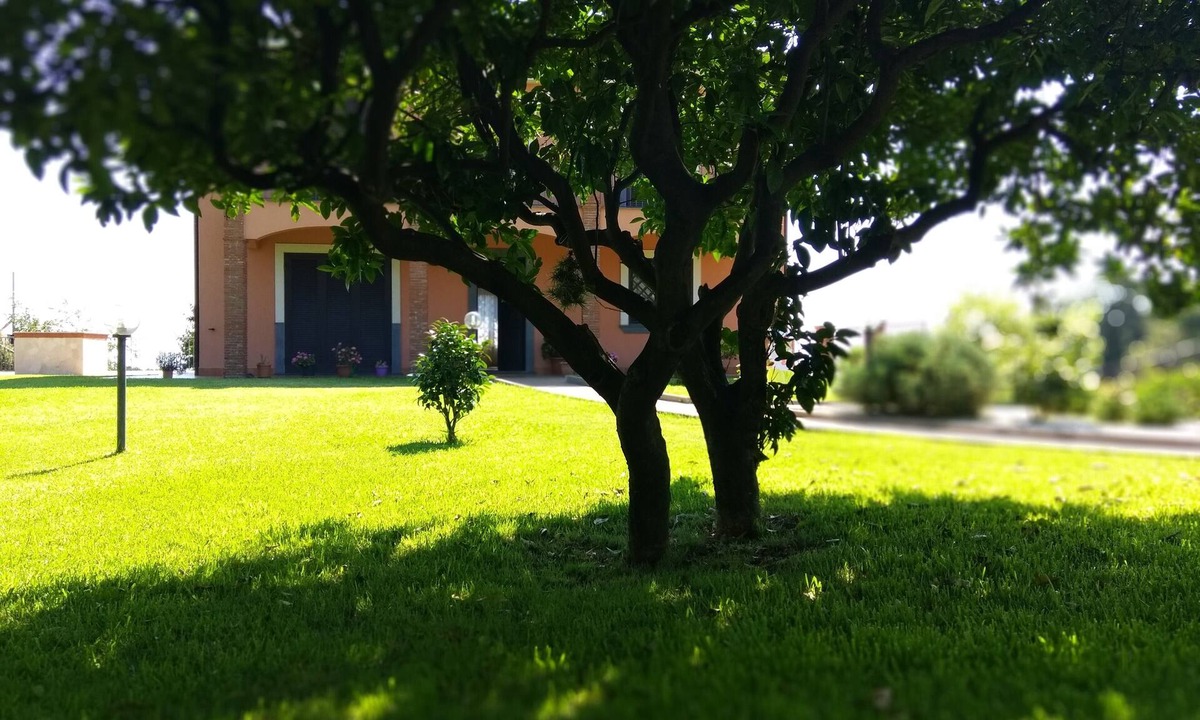 Pennisi Bed & Breakfast | Villa Feluchia B & B between the Sea and the Volcano - family black room