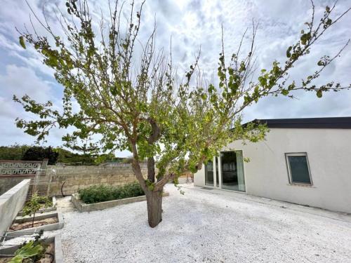 Granelli Villa | Villa Garbugli