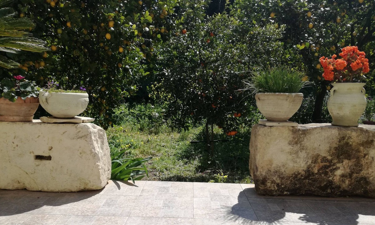 Avola Villa | Villa immersed in a lemon grove, 500 meters from the baroque center of Noto