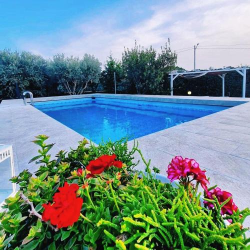 Plemmirio House | Villa Leale