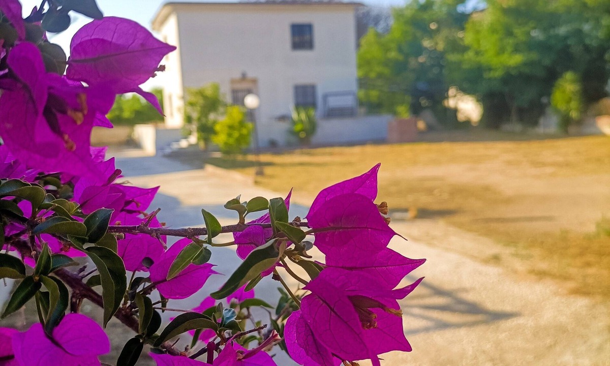 Castel Volturno Villa | VILLA LUCY Look us up on the net Here only for visibility, photos mozzarella and bouganvill
