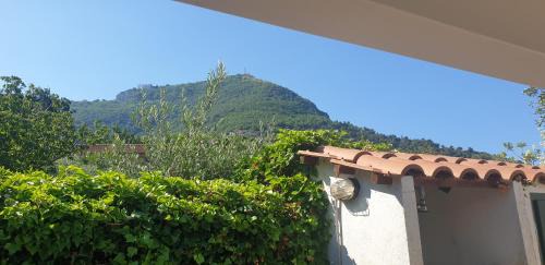 Maratea House | Villa Margherita