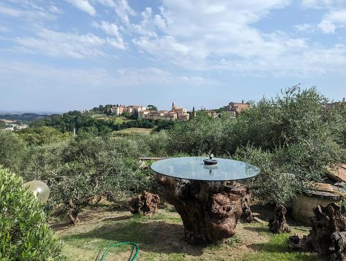 Siena House | Villa Mirasole
