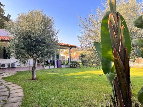 Gallina Villa | Villa Summer house