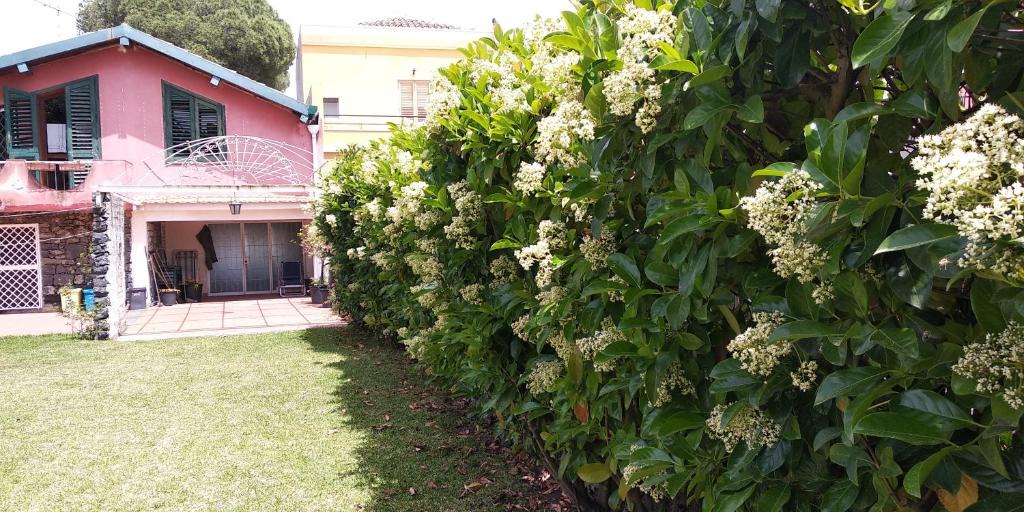Acireale Villa | Villa with garden near the sea, with wi-fi