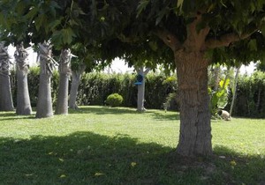 Comodo Appartamento al Piano Terra in Villa a San Lorenzo