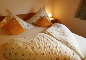 Double room "Talblick" - House Erika Grundner in Kleinsölk