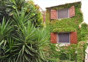 Eurialo Green Suites