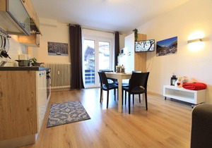 Flat in Bach with garden and terrace in Bad Kleinkirchheim