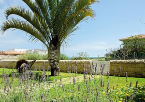 GOLDEN SAND - Punta Braccetto