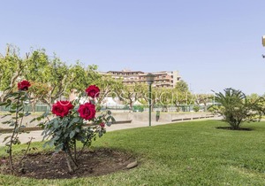 Holiday apartment Giardini Naxos for 1 - 2 persons with 1 bedroom - Holiday apartment