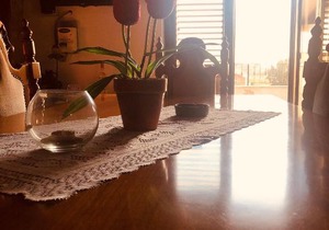 Home Ilardo