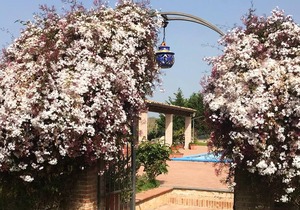 Homerez - Beautiful studio for 2 ppl. with shared pool at Grammichele
