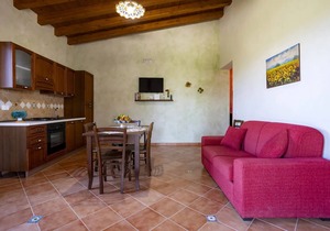 House Among the Olive Trees - country house - CIR: 19084041C218393