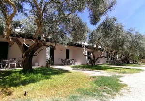 Lilybeo Village
