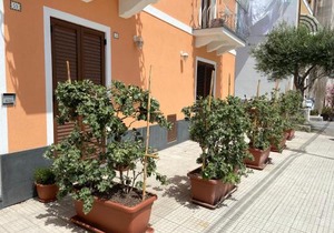 LIPARI by the Port (A) - (Holiday Housing)