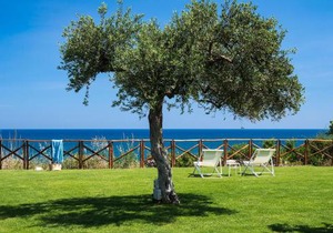 Nettuno