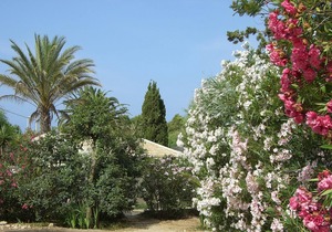 Nice centrally located bungalow directly on the sandy beach
