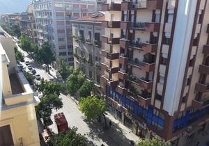 PoliteAmari