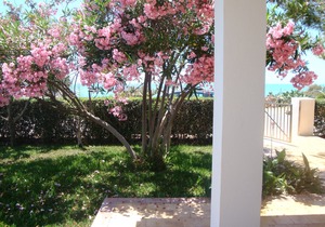 The Villette di Cala Vigliena -