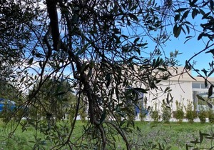 Villa Caponegro