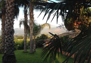 Villa del Nespolo - L