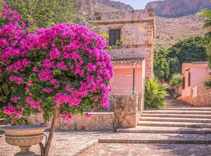 Mono Pax San Vito Lo Capo Tp | Macari