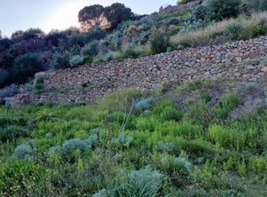 La Casa Del Mandorlo | Lipari