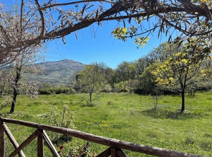 Nature | Raffo
