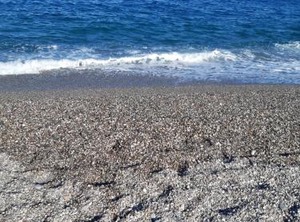 Anna | Sant'Anna