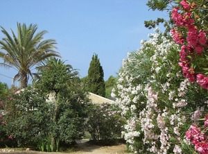Located Bungalow The Beach | Marina di Modica