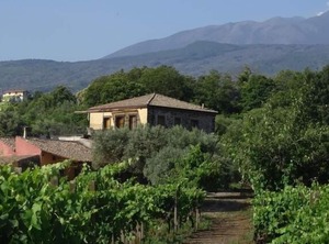 Residence Tenuta Madonnina Castiglione | Castiglione di Sicilia