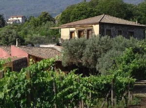 Residence Tenuta Madonnina Castiglione | Castiglione di Sicilia