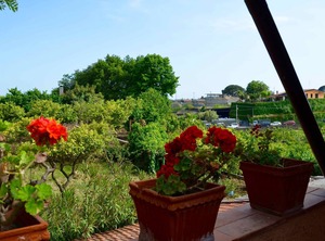 Villa Bonaccorso Il Casotto Limone Verde An Oasis Of Tranquility Nature The Fo | Viagrande