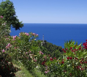 Village Of Calabria Ecotourism Tradition Culture Sea Nature 
