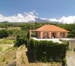 Vigne Countryside Etna Volcano 