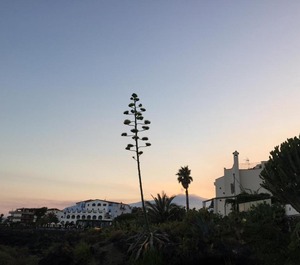 Villa Maria 