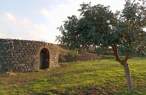 Pantelleria House | 100 m² House ∙ 3 bedrooms ∙ 7 guests