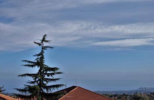 Zafferana Etnea Bed & Breakfast | 19 m² Bed and breakfast ∙ 2 guests