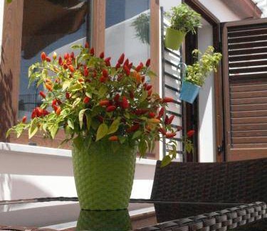 Termini Imerese Bed & Breakfast | 24 m² Bed and breakfast ∙ 3 guests